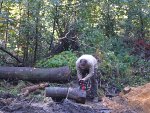 Zemní práce, úpravy toků Liberec